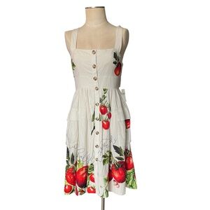 Anthropologie Picnic Dress